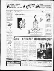 Síða 20