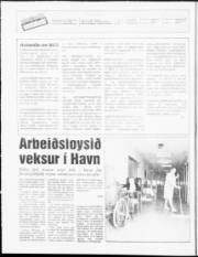 Síða 2