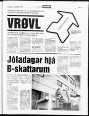 Síða 3