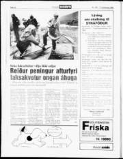 Síða 14