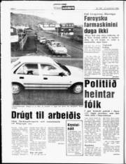 Síða 4