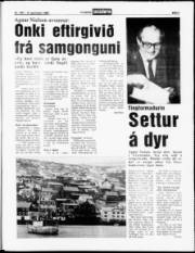 Síða 5