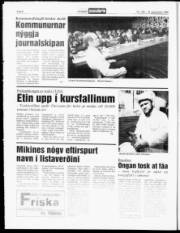 Síða 6