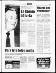 Síða 7