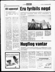 Síða 8