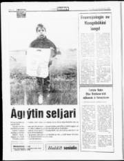 Síða 14