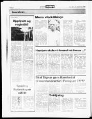 Síða 16