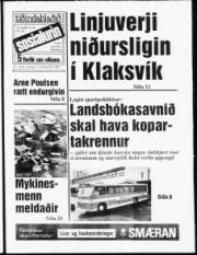 Síða 1