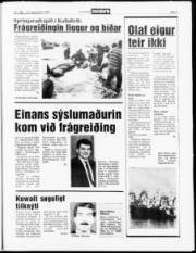 Síða 3