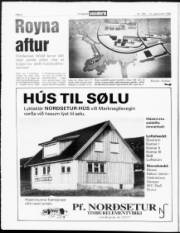 Síða 4