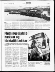 Síða 5