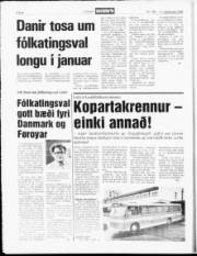 Síða 8