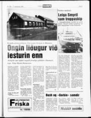 Síða 9