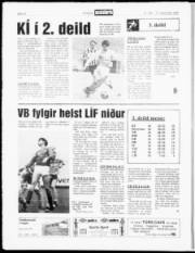 Síða 12