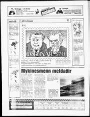Síða 20