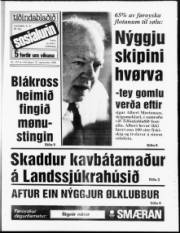 Síða 1