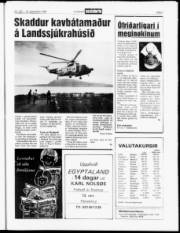 Síða 3