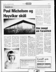Síða 17