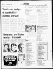 Síða 19