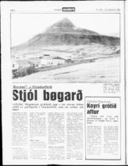 Síða 4