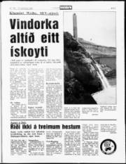 Síða 5