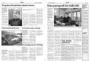 Síða 8