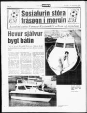 Síða 14