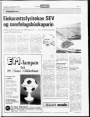 Síða 17