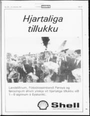 Síða 19