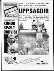 Síða 1