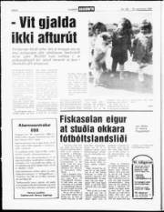 Síða 6