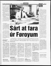 Síða 15