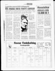 Síða 18