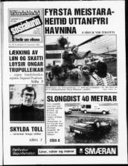 Síða 1