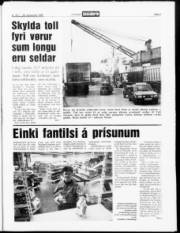 Síða 3