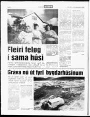 Síða 4
