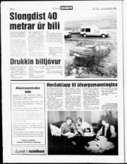 Síða 6