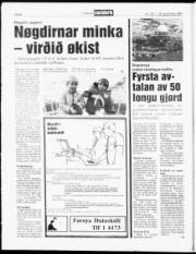 Síða 8