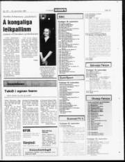 Síða 19