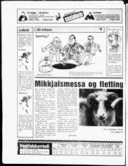 Síða 20