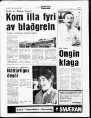 Síða 3