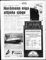 Síða 4
