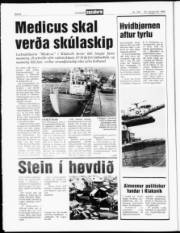 Síða 6