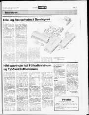 Síða 17