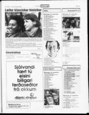Síða 19