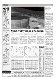 Síða 19