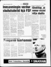 Síða 3