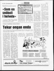 Síða 11