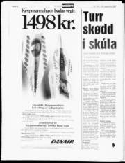 Síða 12