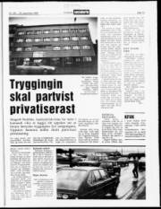 Síða 13